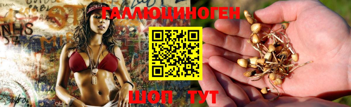 Дюртюли  Галлюциногенные грибы Magic Shrooms  Вход с VPN 